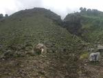 Reconstructing pre-eruptive processes and magma storage conditions